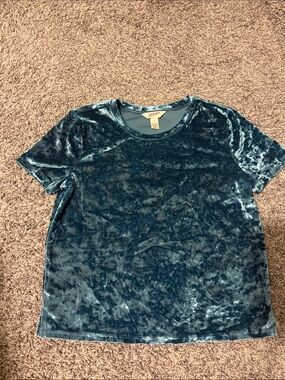 Arizona Jean Company Crushed Velvet Short Sleeve Tee - Teal Blue